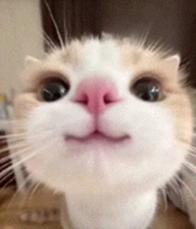 这种酱油、食醋不得生产销售!(图9) 这种酱油、食醋不得生产销售!(图9)