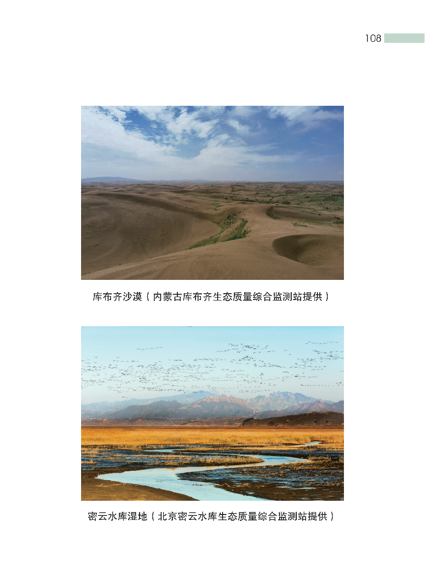 这种“环保餐盒”装的外卖和奶茶，对人体危害更凶险！(图14)