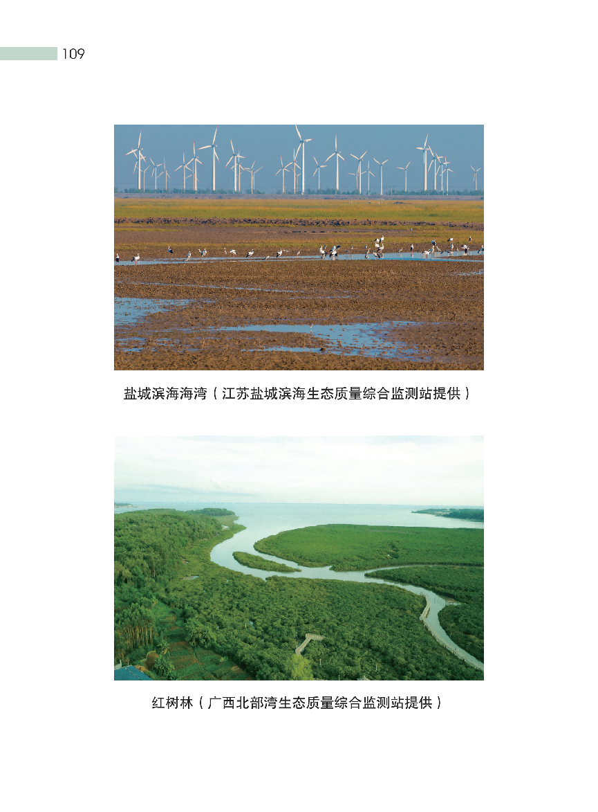 这种“环保餐盒”装的外卖和奶茶，对人体危害更凶险！(图15)