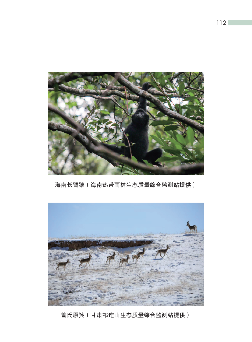 这种“环保餐盒”装的外卖和奶茶，对人体危害更凶险！(图18)