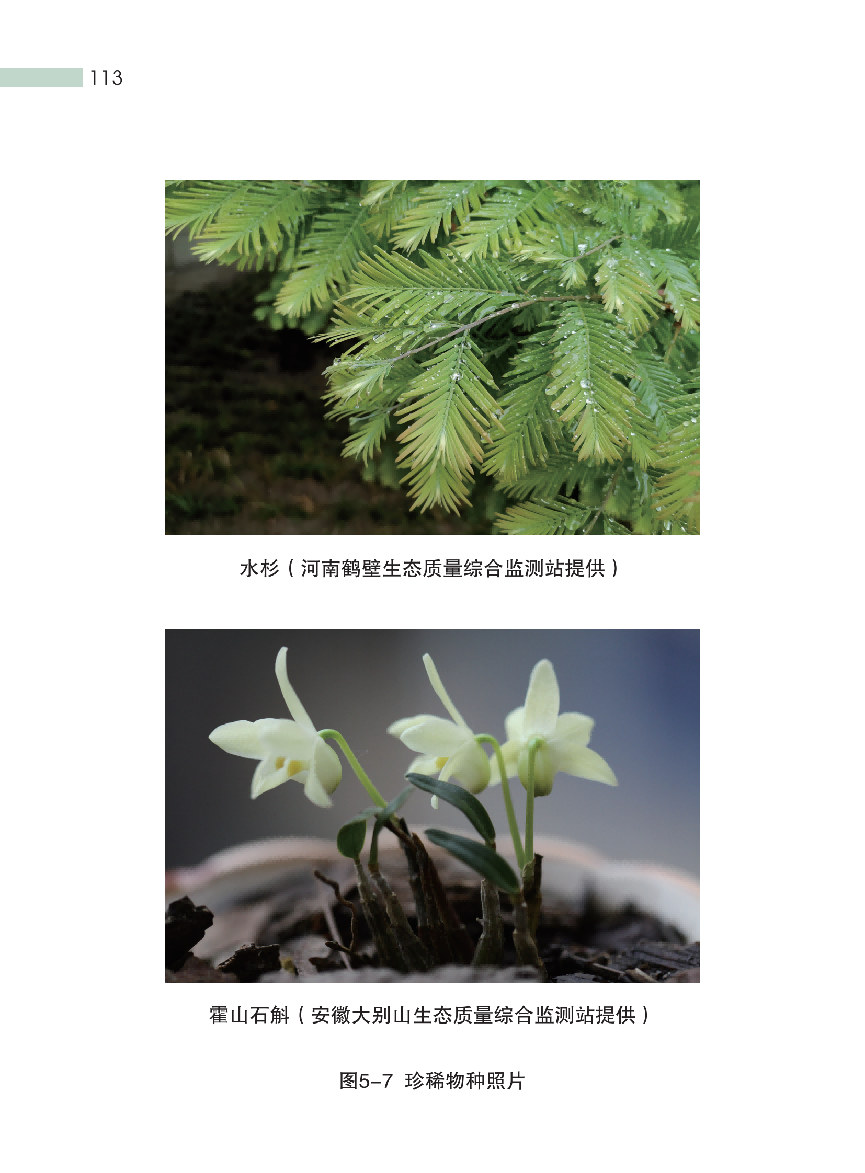 这种“环保餐盒”装的外卖和奶茶，对人体危害更凶险！(图19)