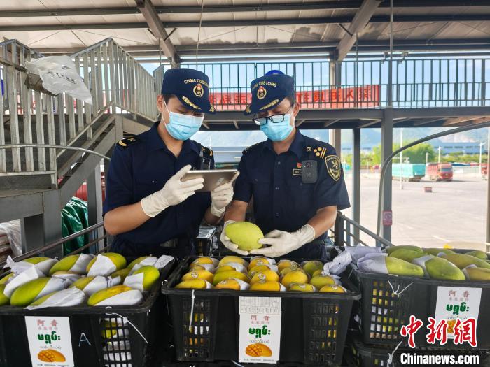 十六条新措施助力创新药加速跑(政策解读)(图5) 十六条新措施助力创新药加速跑(政策解读)(图5)